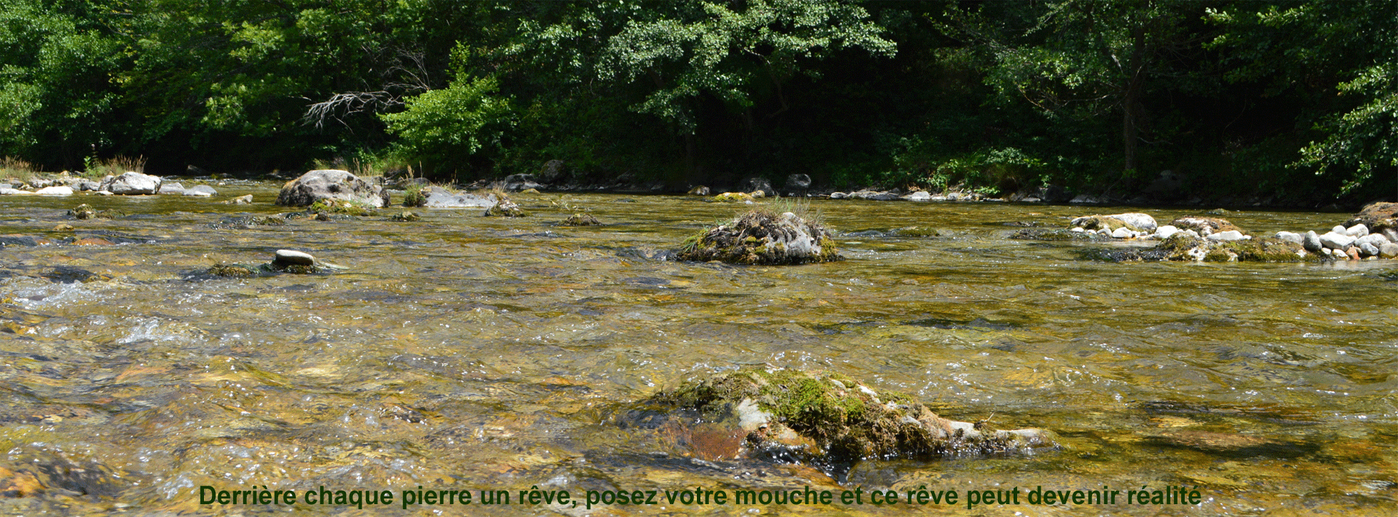 Sans-titre-3 Sans-titre-3